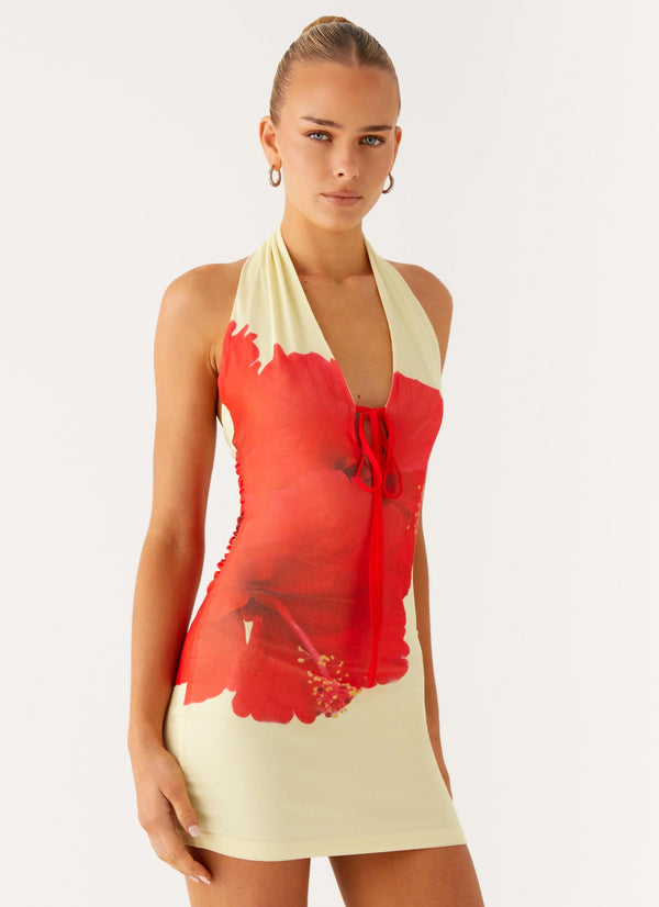 Scarlet Floral